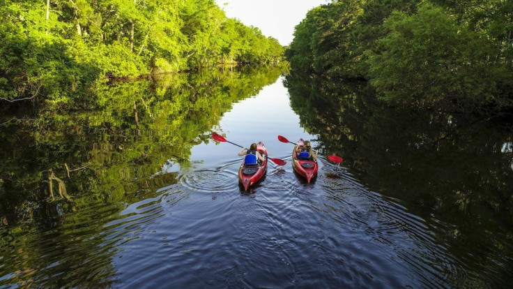 aerial view of two kayakers on the lagoon with greenery next to them