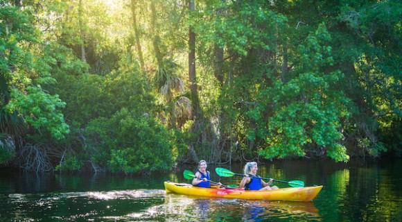 two women kayaking in the lagoon with the sun shining through the trees